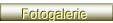 Fotogalerie